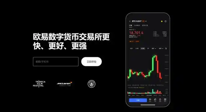 Bitcoin Exchange App Interface